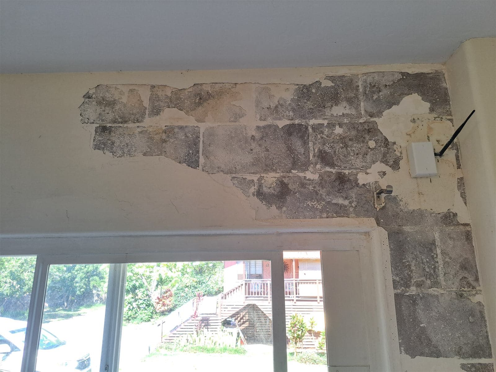 Before: water-damaged wall with crumbling plaster around a window